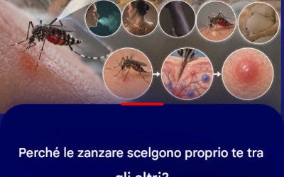 Quando sei seduto con la tua famiglia, ti sembra di essere perseguitato dalle zanzare che ti pungono, mentre gli altri no. Qual è il segreto?