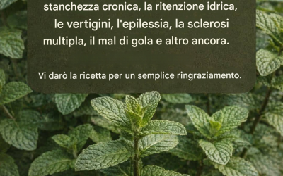 Menta e succo di limone: migliorano la memoria ed eliminano… Vedi altro