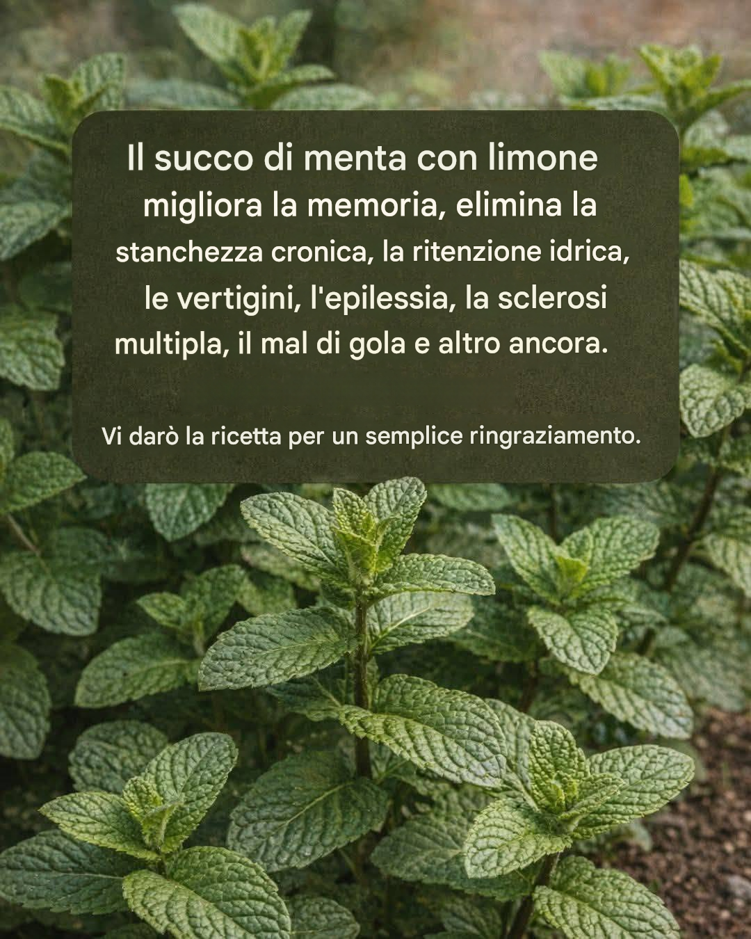 Menta e succo di limone: migliorano la memoria ed eliminano… Vedi altro