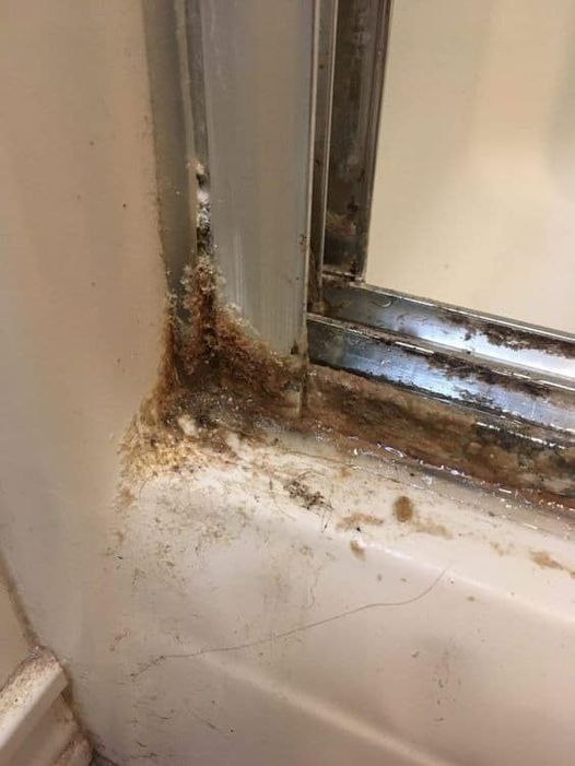 Rimedi Casalinghi: Come Pulire le Porte della Doccia con Solo Due Ingredienti