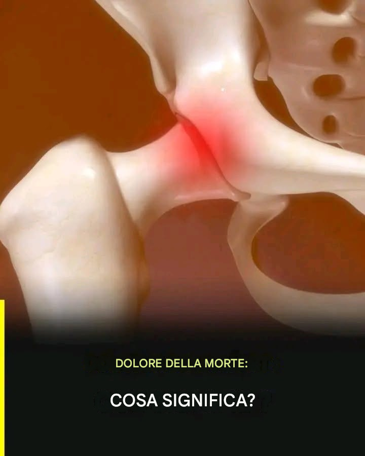 ⚠️🧠Se hai dolore all’anca, è un chiaro segno che… Vuoi saperne di più?🤔👇💬