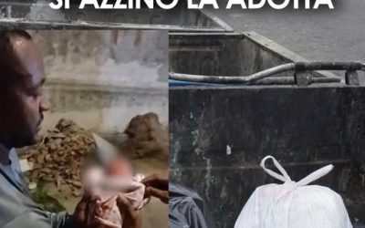 Una storia drammatica, triste e commovente ma con un bellissimo lieto fine. Ecco cosa è successo ⤵