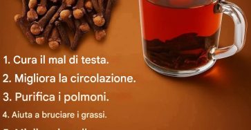L’antico segreto nel tuo portaspezie: 18 modi comprovati in cui il tè ai chiodi di garofano trasforma la tua salute, il tuo metabolismo e la tua longevità