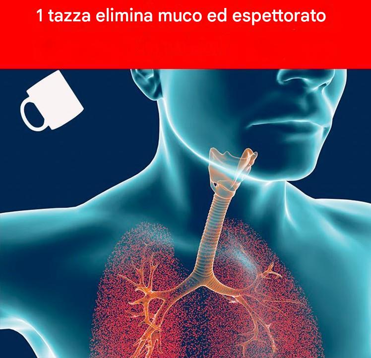 1 tazza di muco e muco nei seni, nel torace e nei polmoni