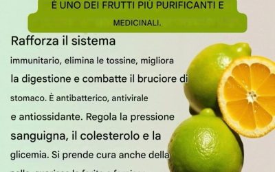 Benefici del limone: il potere naturale di purificare e guarire il corpo