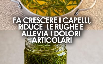 Come preparare l’oleolito di rosmarino per alleviare dolori muscolari e articolari