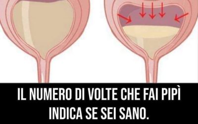 Il numero di volte che fai pipì indica se sei sano. Ecco tutto quello che devi sapere (1 / 2)