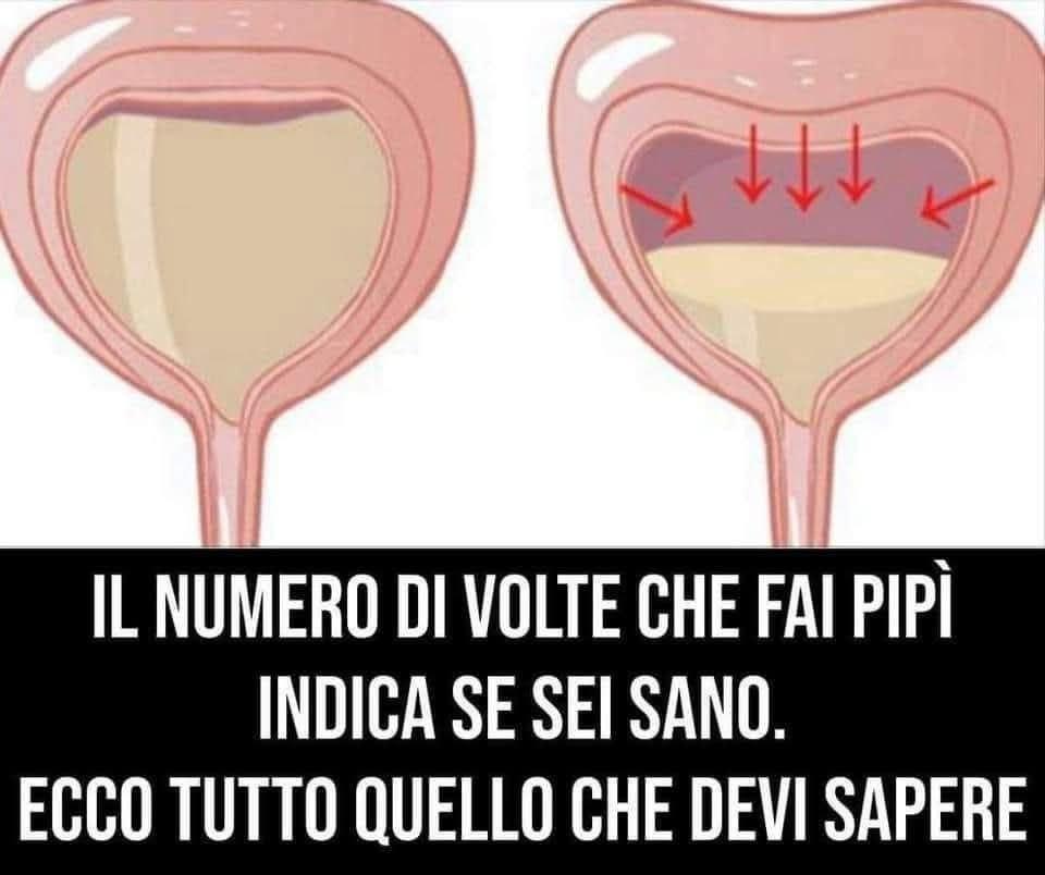 Il numero di volte che fai pipì indica se sei sano. Ecco tutto quello che devi sapere (1 / 2)