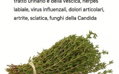 È tra le piante più potenti del mondo