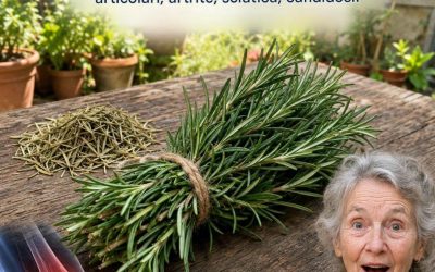 Timo: 35 benefici, proprietà e ricette naturali per guarire il corpo e la mente.