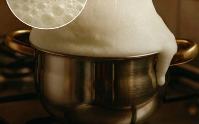 Perché il latte si solleva e trabocca quando bolle? È solo il calore, o c’è un segreto dietro? L’article complet est dans le premier commentaire