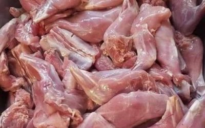 🐇 Il coniglio della mia nonna: tenero, delizioso, irresistibile! 😍🍲