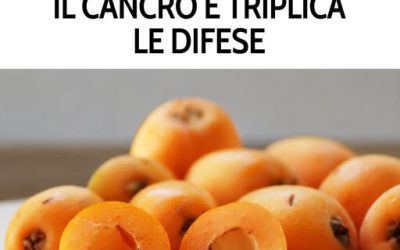 Lo sai come si chiama questo frutto? Ormai è quasi dimenticato, eppure è ricchissimo di benefici per la salute. Ti spiego qui come si chiama e quali benefici offre 👉