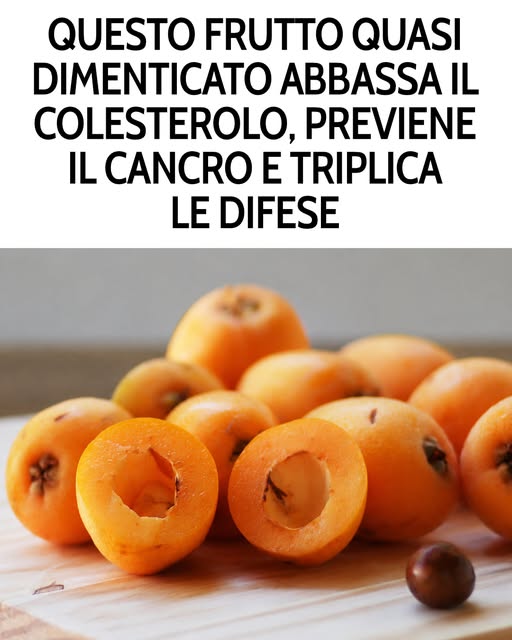 Lo sai come si chiama questo frutto? Ormai è quasi dimenticato, eppure è ricchissimo di benefici per la salute. Ti spiego qui come si chiama e quali benefici offre 👉