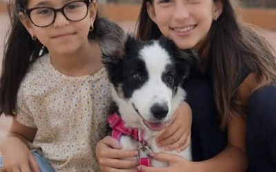 “Ho visto Sarah e Alysia” Sorelle scomparse, la svolta: si trov.. Altro…