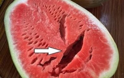 Hai tagliato un’anguria e hai notato delle crepe? Smetti subito di mangiarla! Ecco cosa significa davvero.