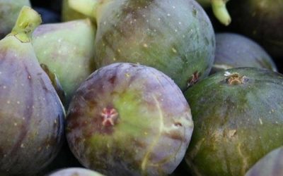I fichi aiutano ad alleviare il dolore alla schiena, alla colonna vertebrale e alle ginocchia.