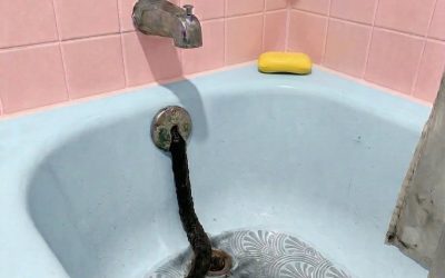 Sono andato al mare per dieci giorni di vacanza. Quando sono tornato a casa e sono entrato in bagno, ho scoperto questo. Onestamente, all’inizio mi sono spaventato molto. Poi ho iniziato a guardarlo attentamente, cercando di capire di cosa si trattasse, ma non ci sono ancora riuscito. Qualcuno sa di cosa potrebbe trattarsi? Controllate il primo commento per la risposta 👇