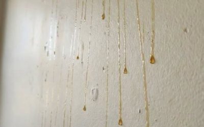 Dopo che la mia ultima inquilina se n’è andata, una sostanza gialla ha iniziato a colare lungo i muri. Cosa poteva essere? Ho provato a pulirla, ma senza successo. Lei non fumava… Vedi altro