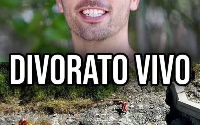 Cade nel fiume e viene divorato vivo davanti la moglie (1 / 2)