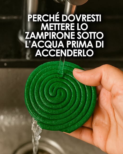 Prima di tutto, devi prima usare lo zampirone prima di acquistarlo. Scopri il metodo completo nel primo commento.👇👇👇