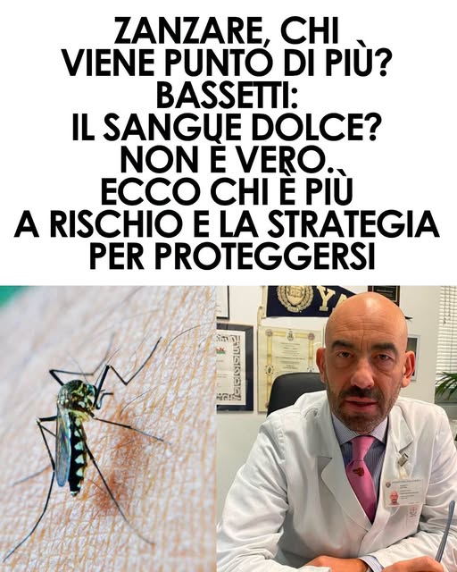 Zanzare, chi viene punto di più? Bassetti sfata il mito del “sangue dolce”: ecco chi è davvero più a rischio⬇️