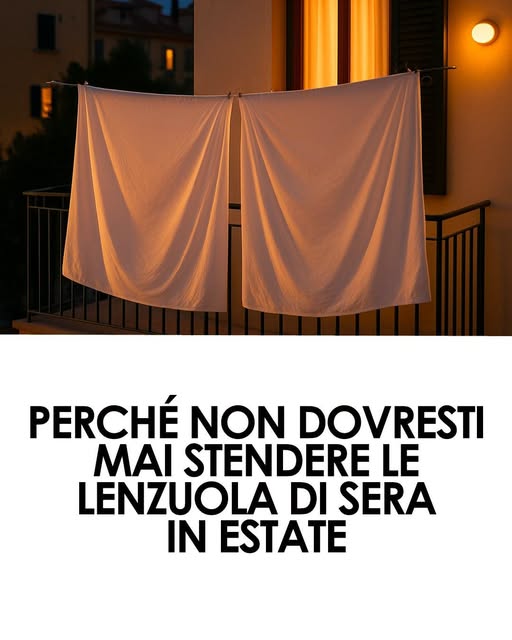 Stendere le lenzuola la sera d’estate può sembrare una scelta pratica, ma è in realtà un errore da evitare. Nei commenti ti spiego perché NON andrebbe fatto 👇