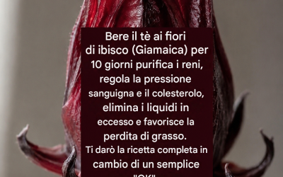 Bevi il tè ai fiori giamaicani per 10 giorni e ti purificherai…