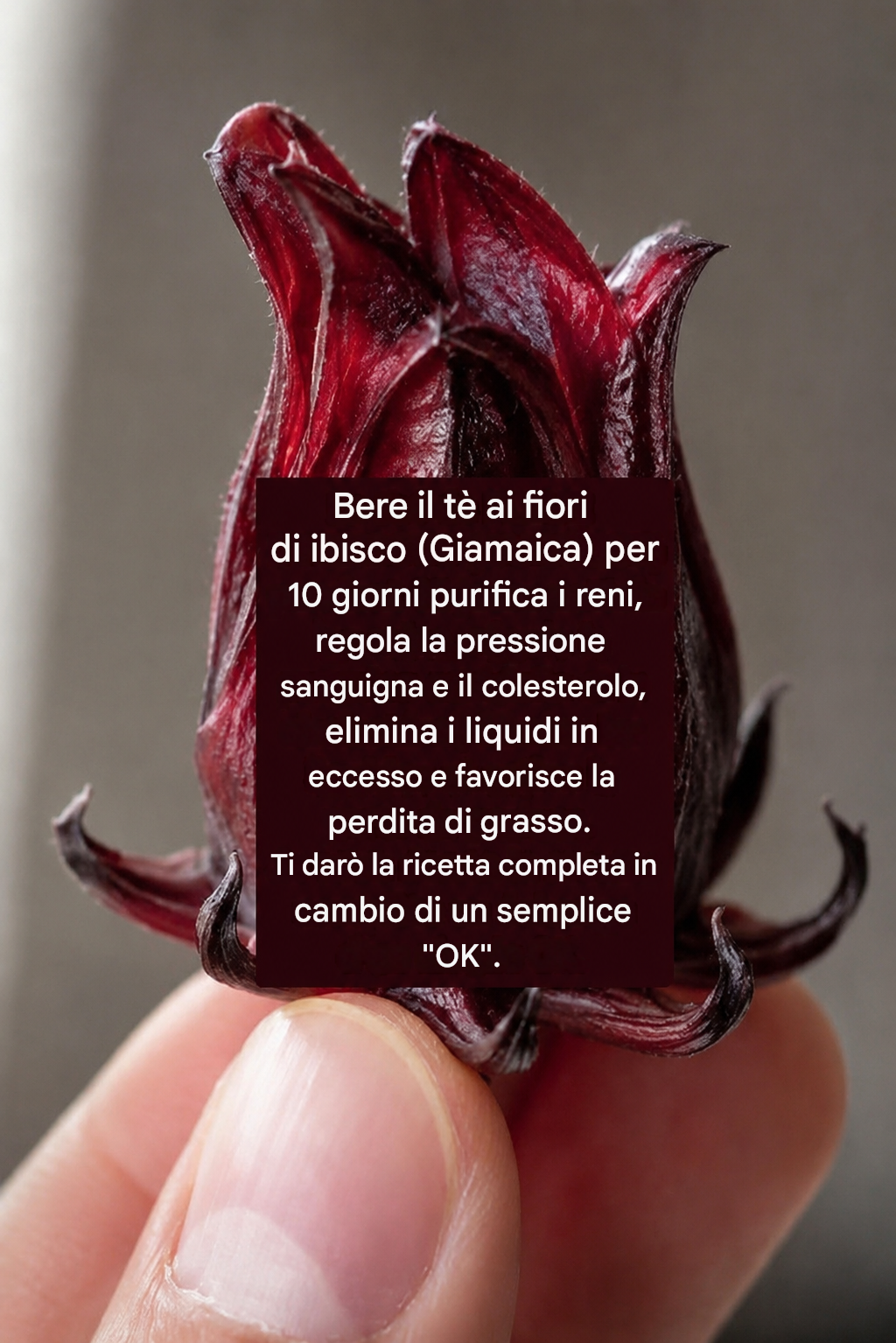 Bevi il tè ai fiori giamaicani per 10 giorni e ti purificherai…