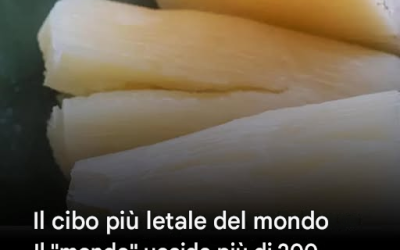 Presente in quasi tutte le nostre cucine, questo prodotto che consumiamo quasi ogni giorno nasconde una realtà ben più oscura. Il suo impatto sul nostro organismo è tale che gli esperti di salute stanno lanciando un serio allarme. 👇