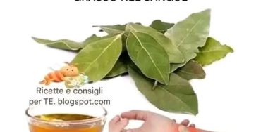 Tra le altre cose lalloro è molto utile per combattere