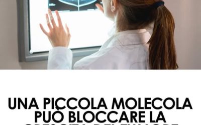 I ricercatori hanno scoperto la nuova molecola che potrebbe rivoluzionare il trattamento del tumore al seno e alle ovaie; presto inizieranno i test sull’uomo.