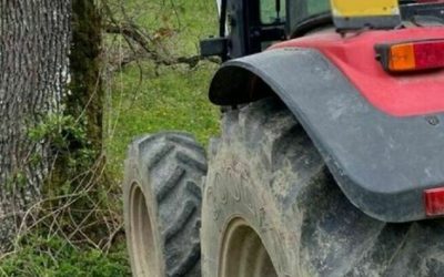 😭💔 Il piccolo è morto, la mamma si è s…Altro…
