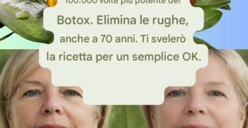 Foglia di alloro