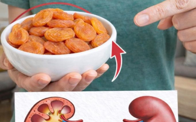 I 5 migliori frutti secchi per ridurre naturalmente la creatinina e migliorare la velocità di filtrazione glomerulare (VFG)