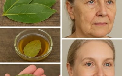 Alloro: il segreto naturale per una pelle giovane!