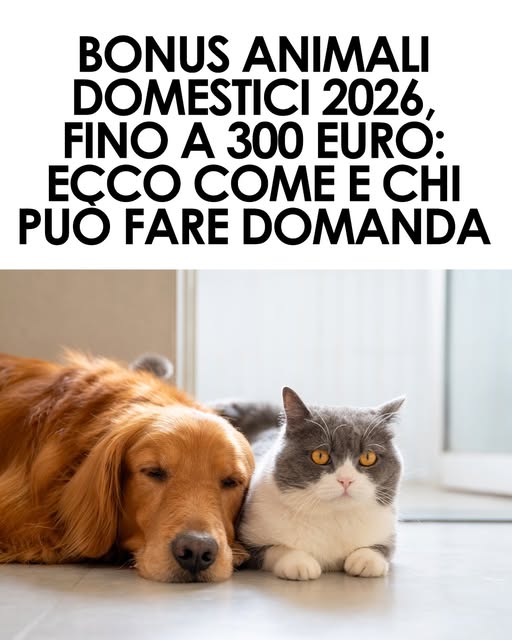 Bonus animali domestici 2026: contributo fino a 300 euro. Come fare domanda ⬇