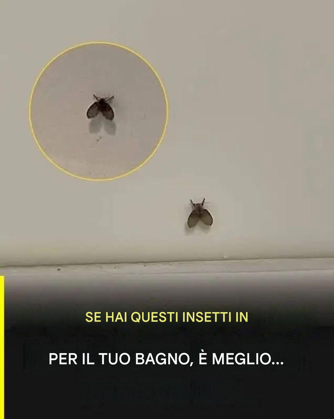 Non sapevo cosa fosse. Guarda il primo commento…