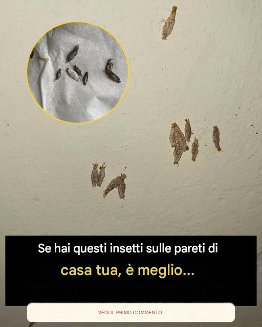 Non sapevo cosa fosse.😨Guarda il primo commento…