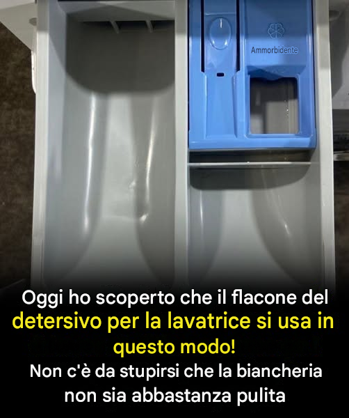 A quanto pare, l’ho usato in modo errato per tutto questo tempo.👇