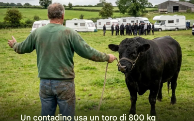 I viaggiatori si rifiutarono di andarsene, così un contadino usò un toro per scacciarli.