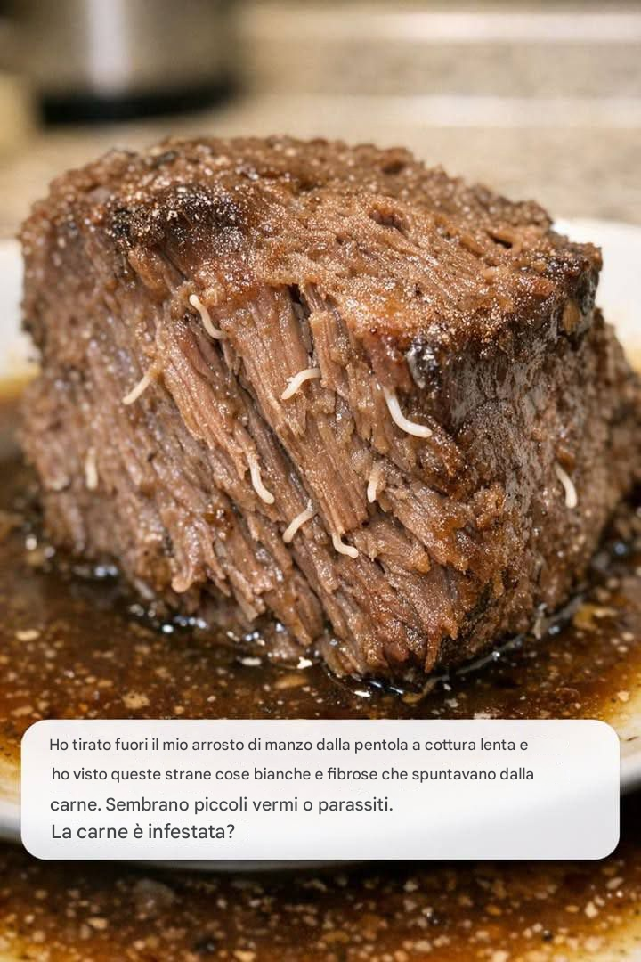 Ho tirato fuori il mio arrosto di manzo dalla pentola a cottura lenta e ho visto queste strane cose bianche e fibrose che spuntavano dalla carne. Sembrano piccoli vermi o parassiti. Ricetta completa👇 💬