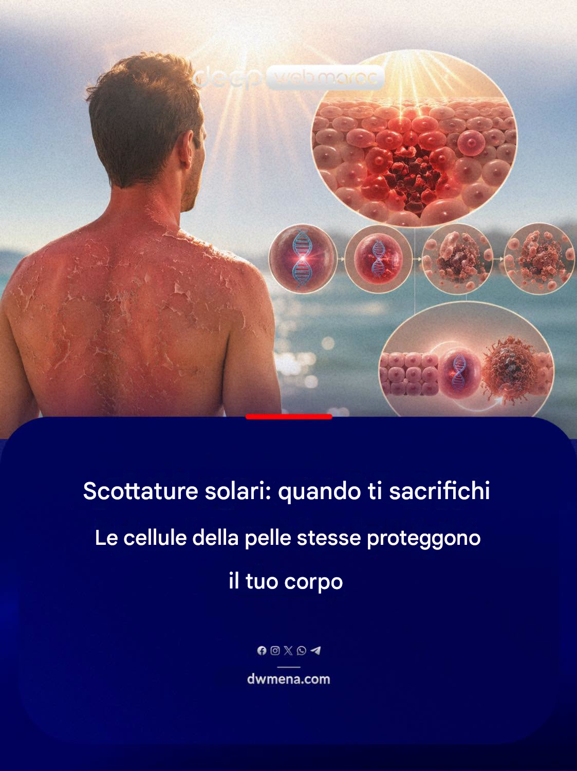 C’è una verità terrificante sulle scottature solari che molte persone potrebbero non conoscere…