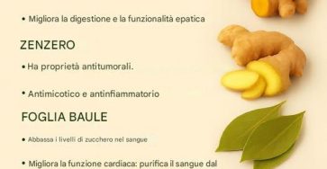 LE SPEZIE PIÙ SALUTARI: I 6 ALLEATI PER LA TUA SALUTE