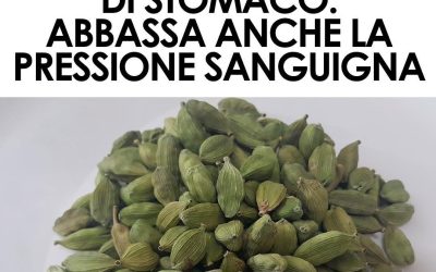 Perfetto per chi soffre di ipertensione, aiuta la circolazione sanguigna, con effetti benefici. Fanne una scorta.