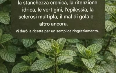 🌿 Menta e succo di limone: la bevanda naturale che tutti provano