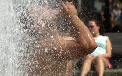 ⚠ Caldo, l’allarme degli esperti: il cuore smette di funzionare a °..Altro…