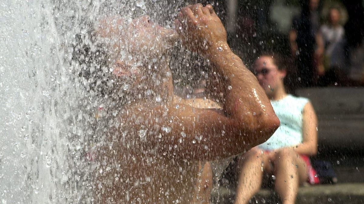 ⚠ Caldo, l’allarme degli esperti: il cuore smette di funzionare a °..Altro…