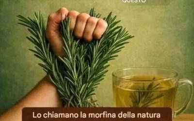 # Il potere curativo del rosmarino: la “morfina naturale” che dovresti conoscere