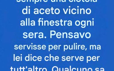 Perché le persone mettono ciotole di aceto vicino alle finestre durante i caldi mesi estivi